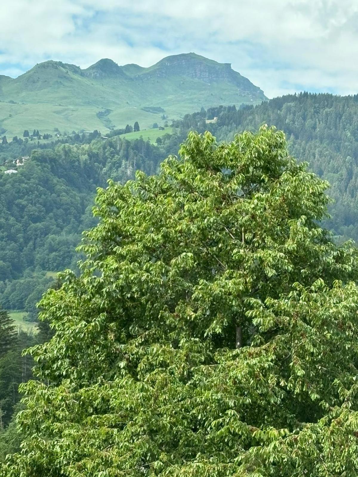 Landgasthof Zum Glenner Ilanz/Glion Exterior photo